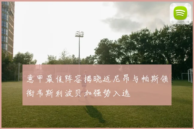 意甲最佳阵容揭晓迈尼昂与帕斯领衔韦斯利波贝加强势入选